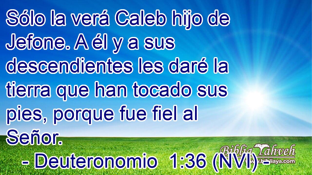  Sólo la verá Caleb hijo de Jefone. A él y a sus descendientes les daré la tierra que han tocado sus pies, porque fue fiel al Señor. 