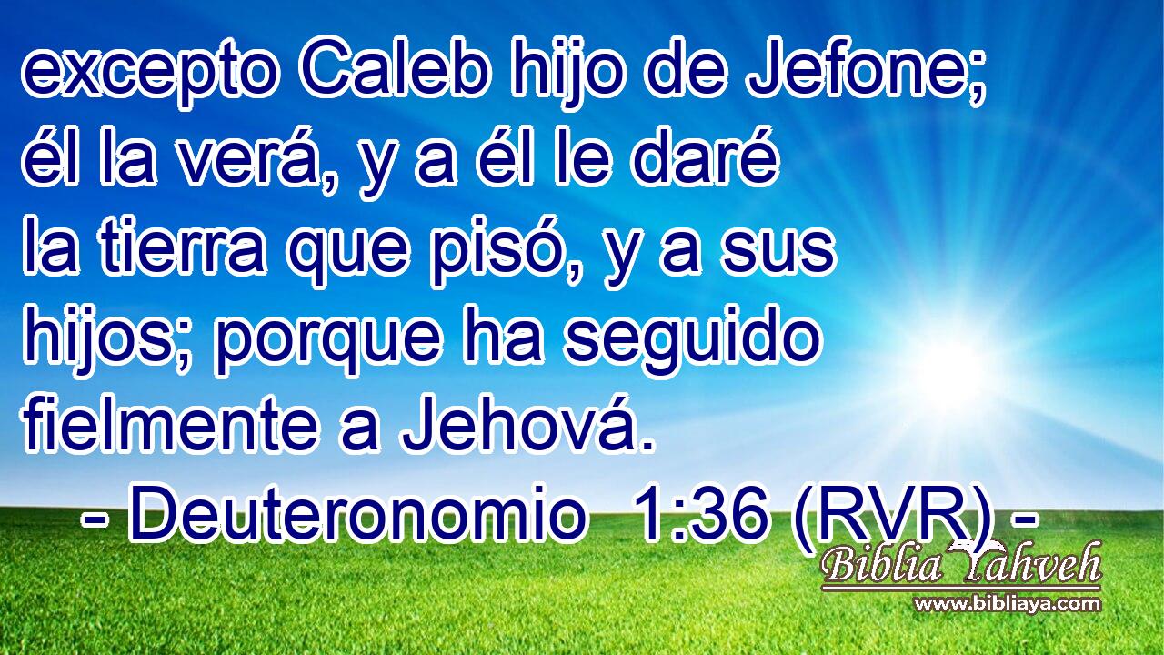 excepto Caleb hijo de Jefone; él la verá, y a él le daré la tierra que pisó, y a sus hijos; porque ha seguido fielmente a Jehová.