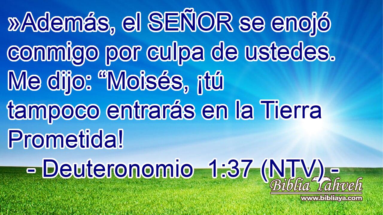 »Además, el SEÑOR se enojó conmigo por culpa de ustedes. Me dijo: “Moisés, ¡tú tampoco entrarás en la Tierra Prometida!
