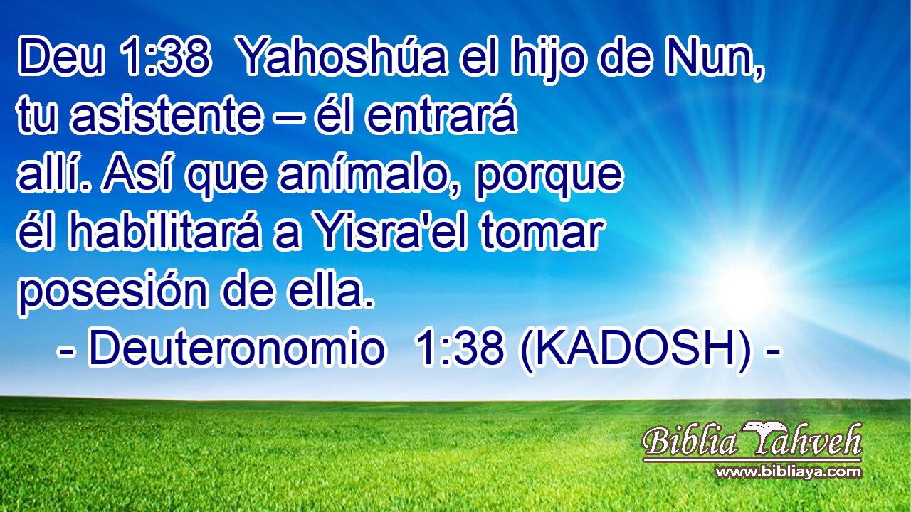  Yahoshúa el hijo de Nun, tu asistente – él entrará allí. Así que anímalo, porque él habilitará a Yisra'el tomar posesión de ella. 
