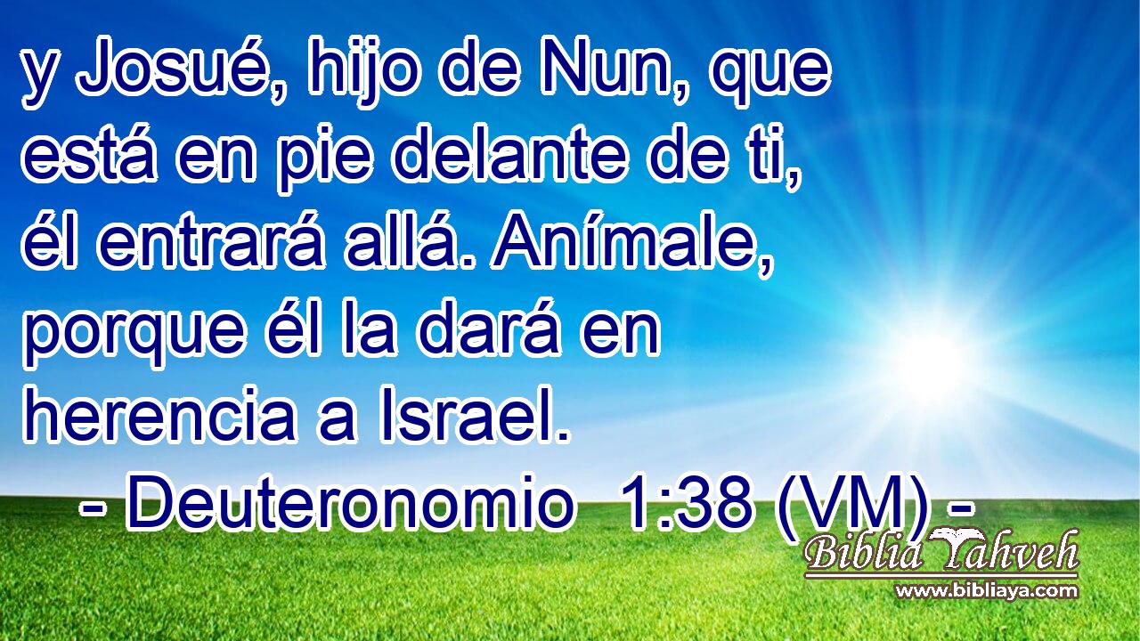  y Josué, hijo de Nun, que está en pie delante de ti, él entrará allá. Anímale, porque él la dará en herencia a Israel. 