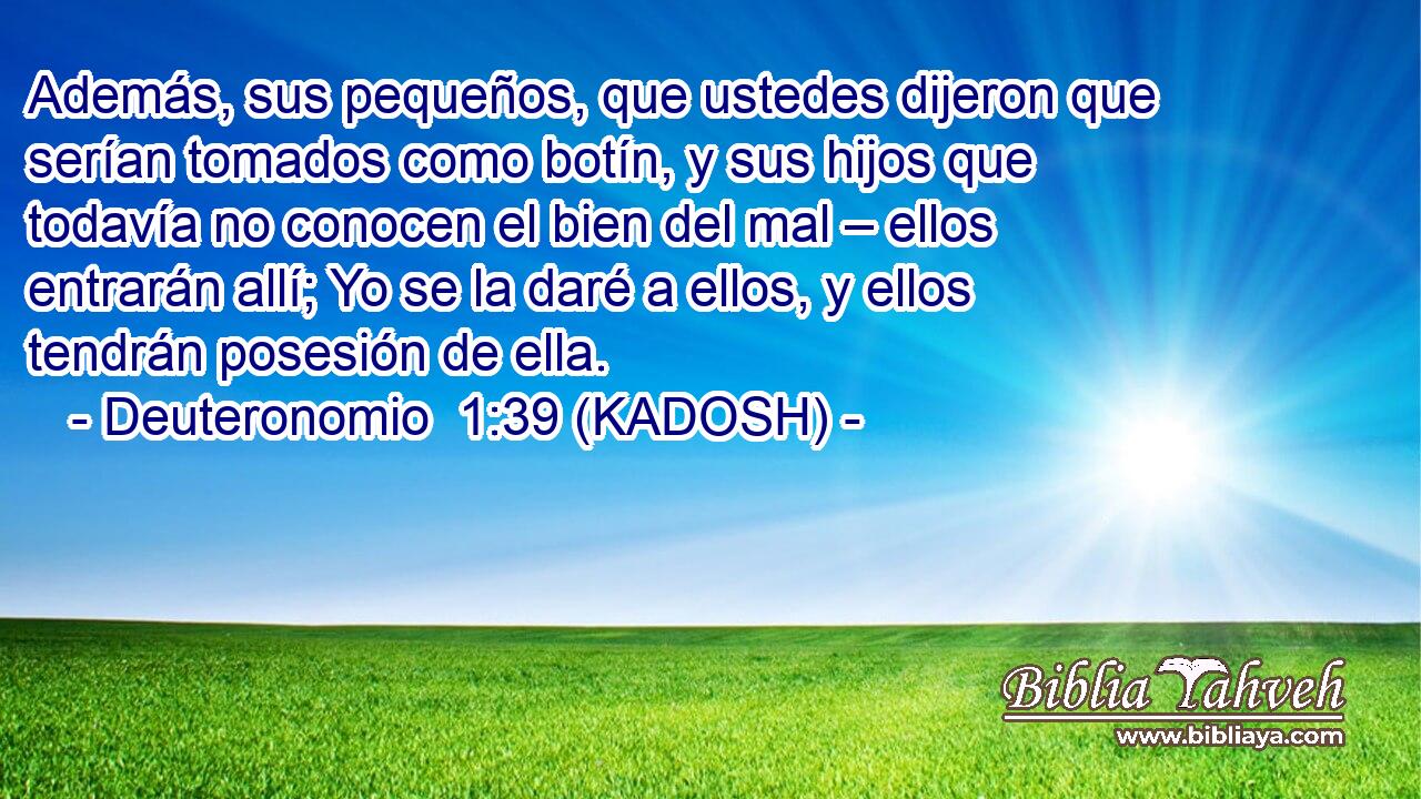  Además, sus pequeños, que ustedes dijeron que serían tomados como botín, y sus hijos que todavía no conocen el bien del mal – ellos entrarán allí; Yo se la daré a ellos, y ellos tendrán posesión de ella. 