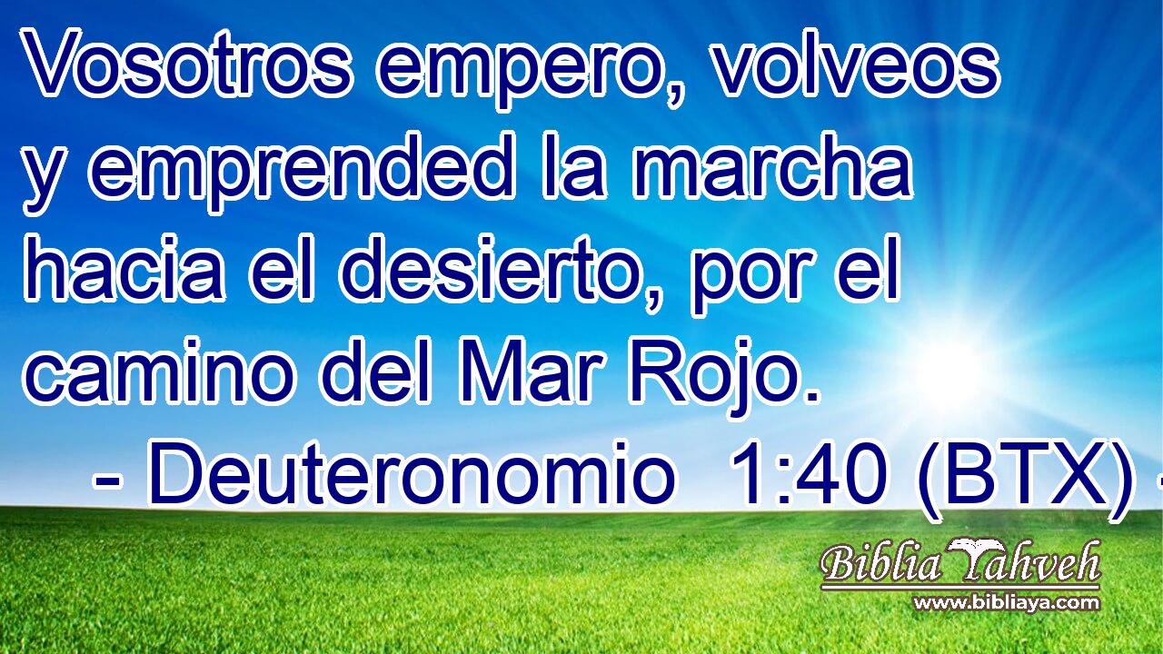 Vosotros empero, volveos y emprended la marcha hacia el desierto, por el camino del Mar Rojo.