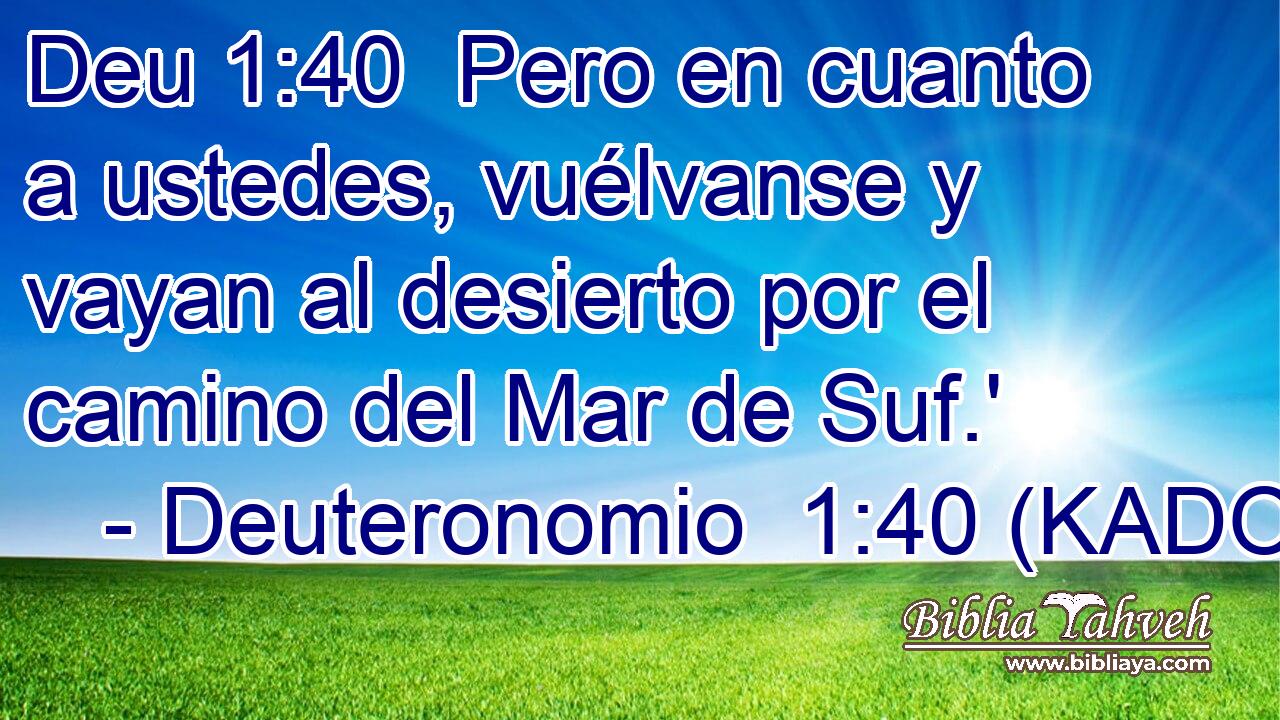  Pero en cuanto a ustedes, vuélvanse y vayan al desierto por el camino del Mar de Suf.' 