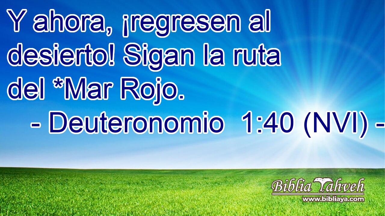  Y ahora, ¡regresen al desierto! Sigan la ruta del *Mar Rojo. 