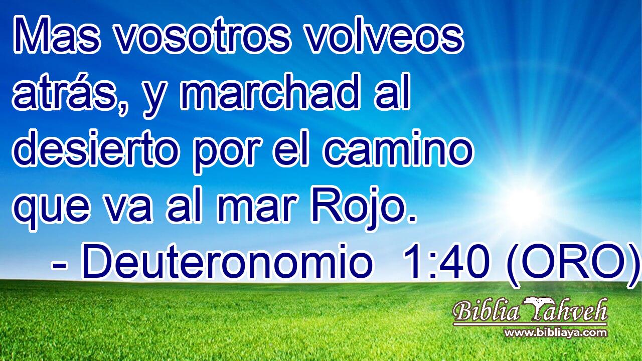  Mas vosotros volveos atrás, y marchad al desierto por el camino que va al mar Rojo. 
