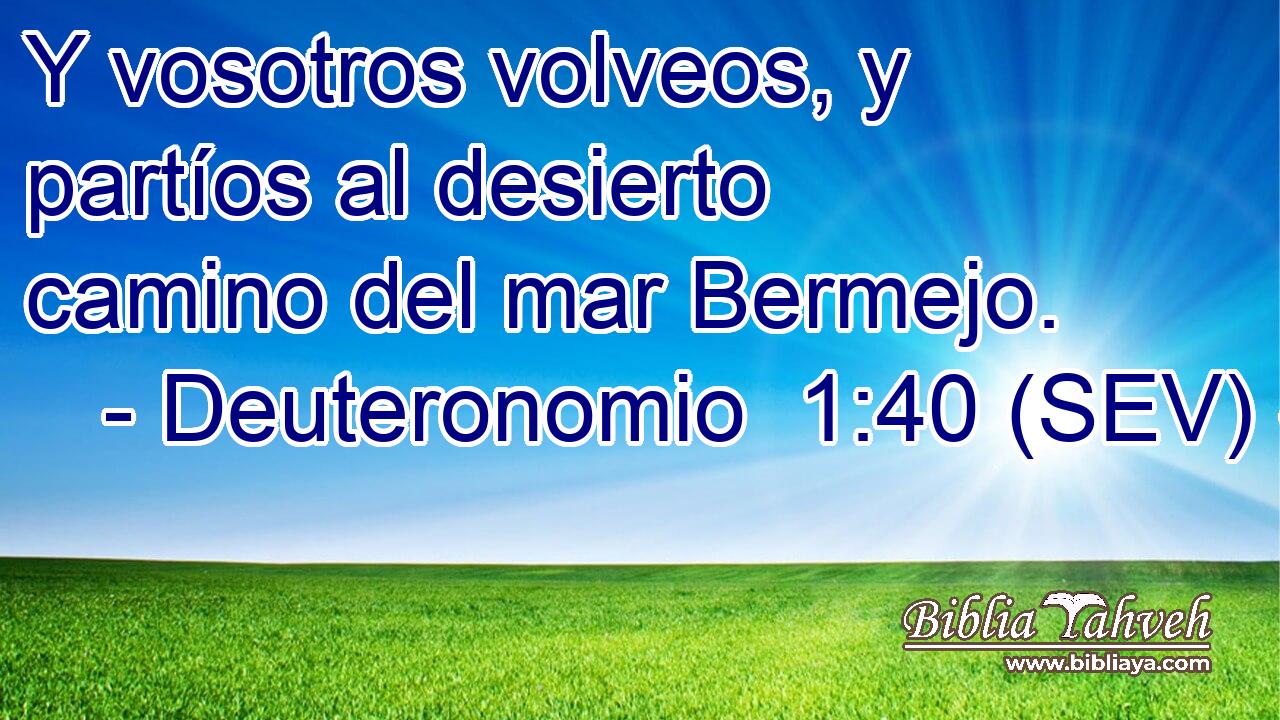 Y vosotros volveos, y partíos al desierto camino del mar Bermejo.