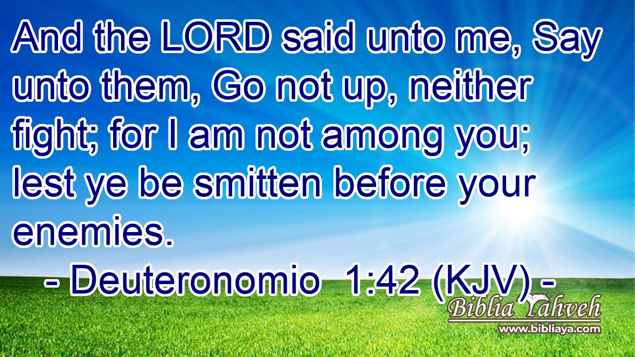 And the LORD said unto me, Say unto them, Go not up, neither fight; for I am not among you; lest ye be smitten before your enemies.