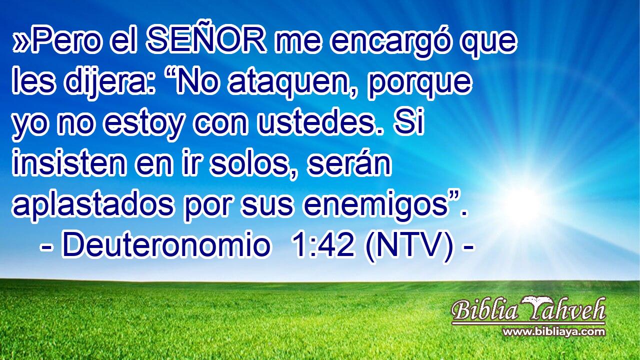 »Pero el SEÑOR me encargó que les dijera: “No ataquen, porque yo no estoy con ustedes. Si insisten en ir solos, serán aplastados por sus enemigos”.