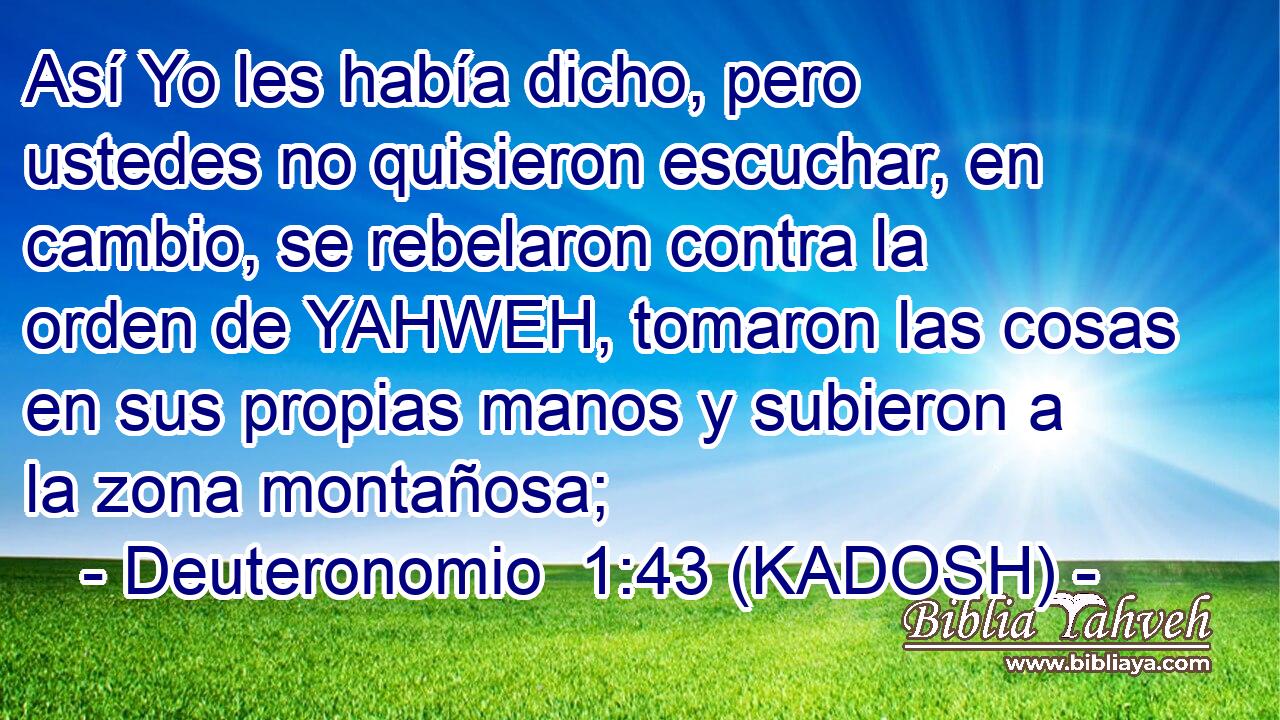  Así Yo les había dicho, pero ustedes no quisieron escuchar, en cambio, se rebelaron contra la orden de YAHWEH, tomaron las cosas en sus propias manos y subieron a la zona montañosa; 