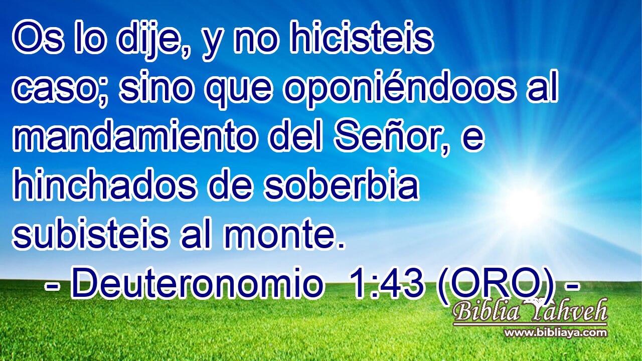  Os lo dije, y no hicisteis caso; sino que oponiéndoos al mandamiento del Señor, e hinchados de soberbia subisteis al monte. 