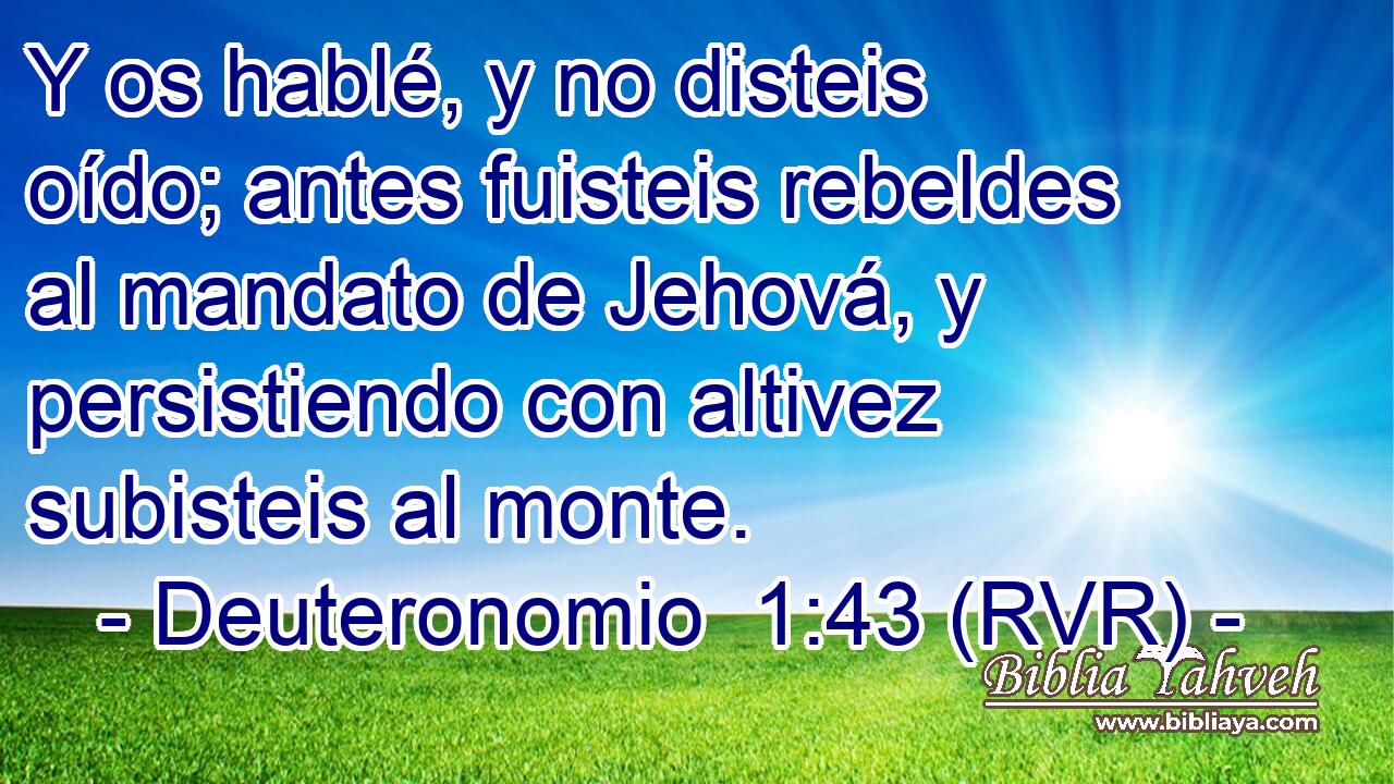 Y os hablé, y no disteis oído; antes fuisteis rebeldes al mandato de Jehová, y persistiendo con altivez subisteis al monte.