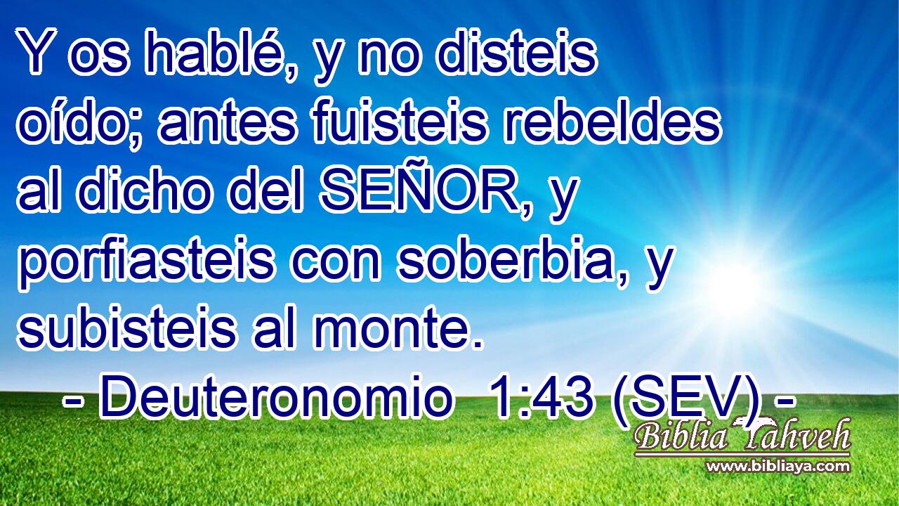 Y os hablé, y no disteis oído; antes fuisteis rebeldes al dicho del SEÑOR, y porfiasteis con soberbia, y subisteis al monte.