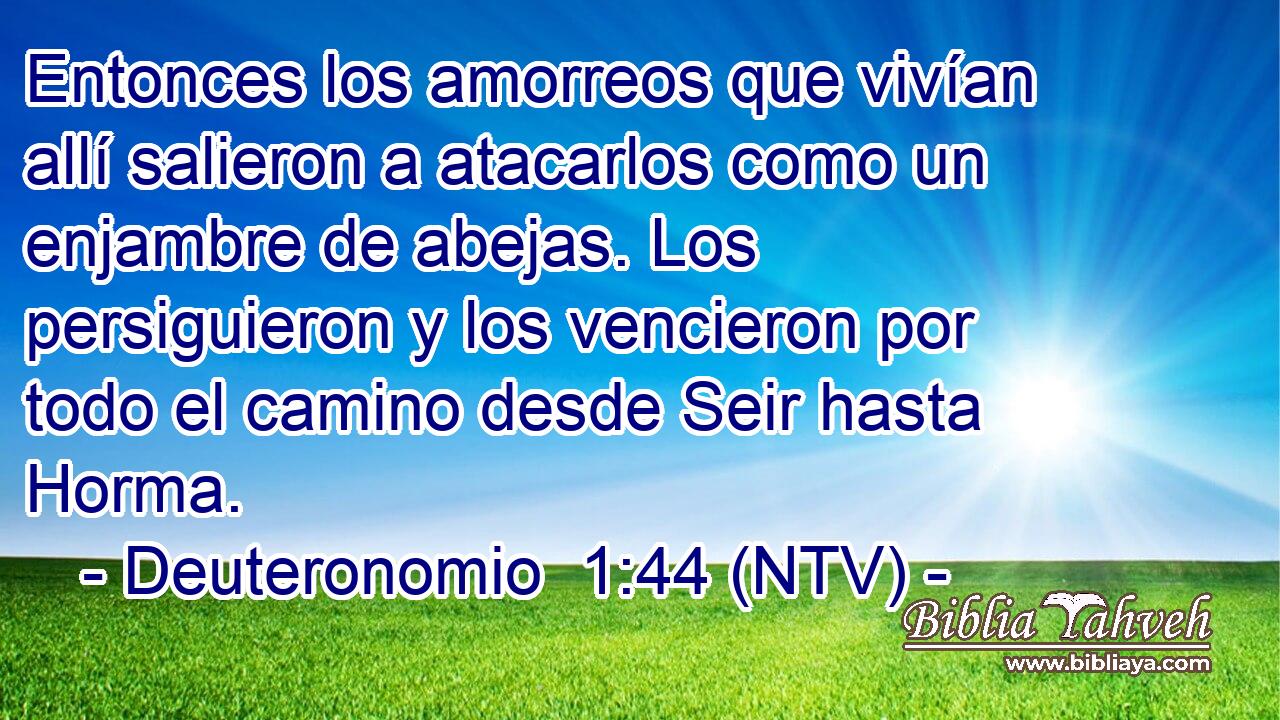 Entonces los amorreos que vivían allí salieron a atacarlos como un enjambre de abejas. Los persiguieron y los vencieron por todo el camino desde Seir hasta Horma.