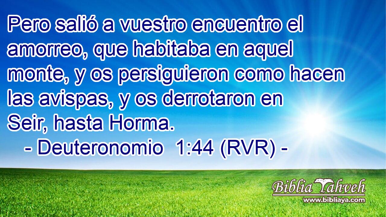 Pero salió a vuestro encuentro el amorreo, que habitaba en aquel monte, y os persiguieron como hacen las avispas, y os derrotaron en Seir, hasta Horma.