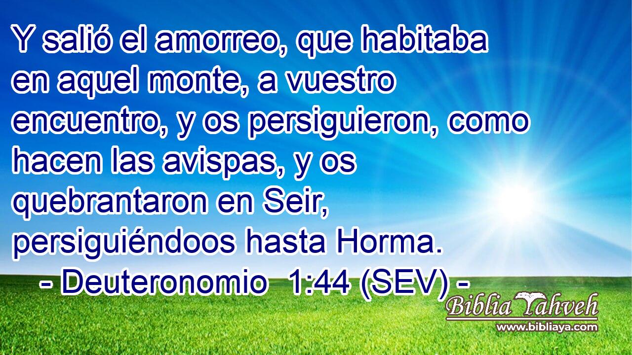 Y salió el amorreo, que habitaba en aquel monte, a vuestro encuentro, y os persiguieron, como hacen las avispas, y os quebrantaron en Seir, persiguiéndoos hasta Horma.