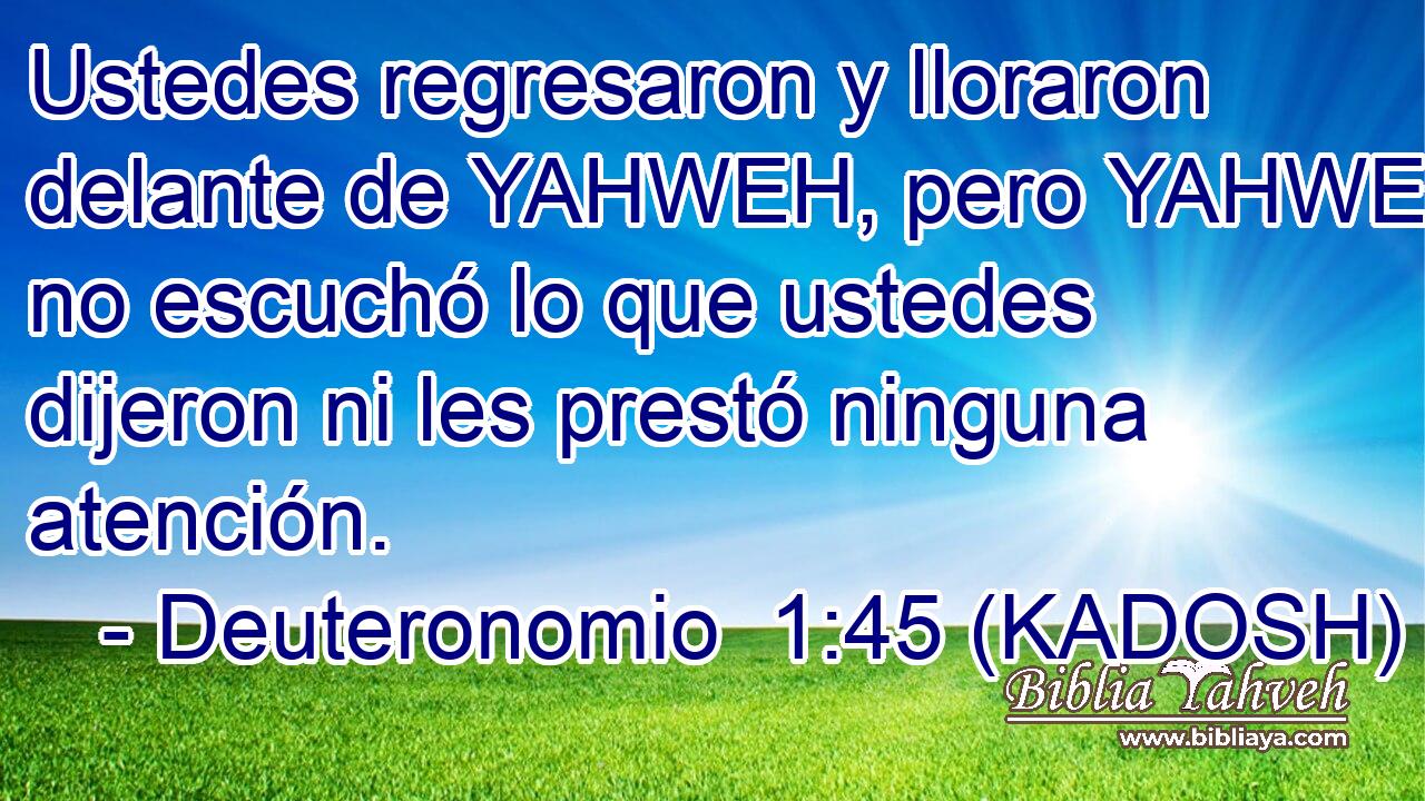  Ustedes regresaron y lloraron delante de YAHWEH, pero YAHWEH no escuchó lo que ustedes dijeron ni les prestó ninguna atención. 