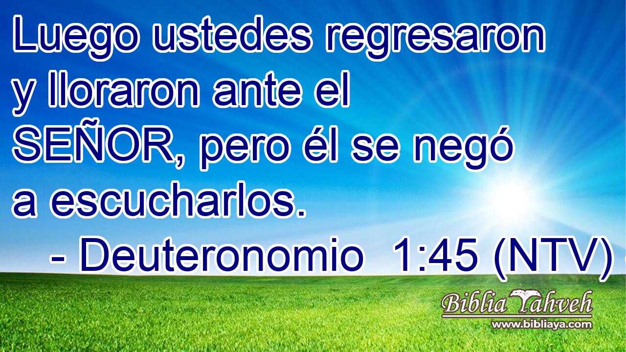 Luego ustedes regresaron y lloraron ante el SEÑOR, pero él se negó a escucharlos.