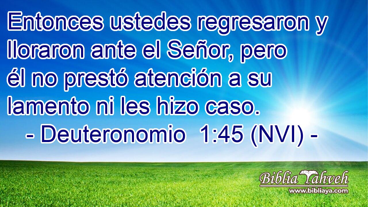  Entonces ustedes regresaron y lloraron ante el Señor, pero él no prestó atención a su lamento ni les hizo caso. 