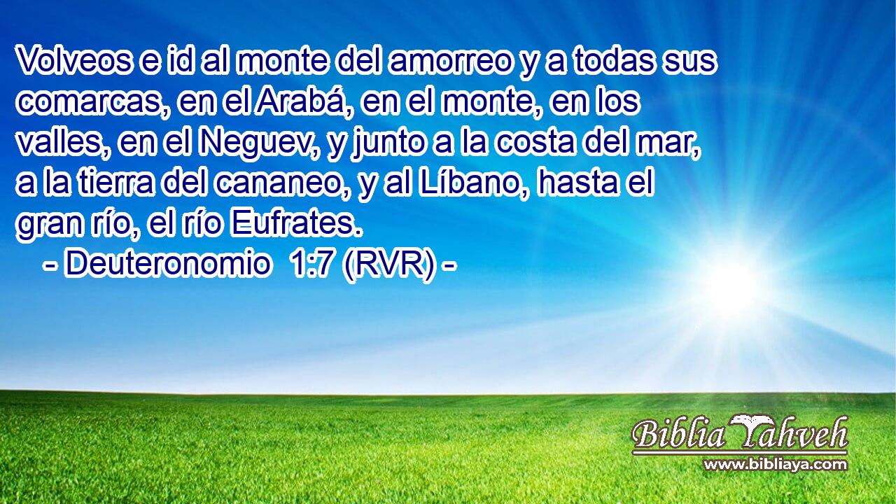 Volveos e id al monte del amorreo y a todas sus comarcas, en el Arabá, en el monte, en los valles, en el Neguev, y junto a la costa del mar, a la tierra del cananeo, y al Líbano, hasta el gran río, el río Eufrates.