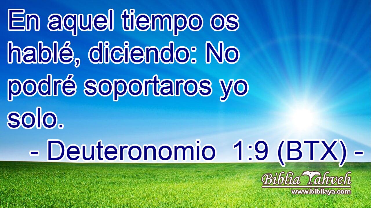 En aquel tiempo os hablé, diciendo: No podré soportaros yo solo.