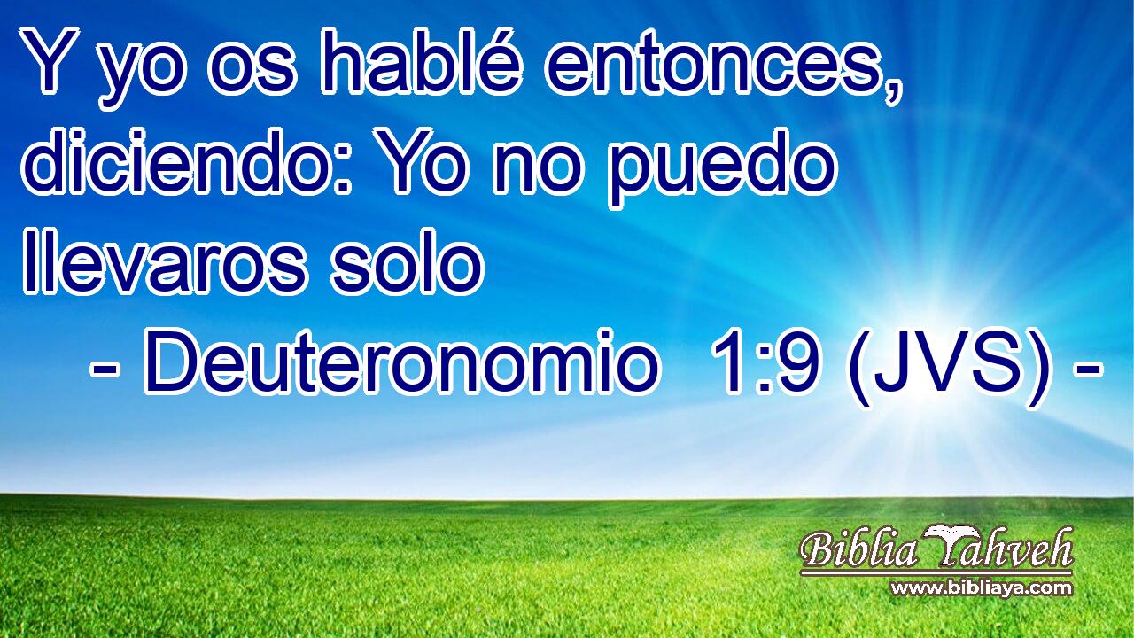 Y yo os hablé entonces, diciendo: Yo no puedo llevaros solo