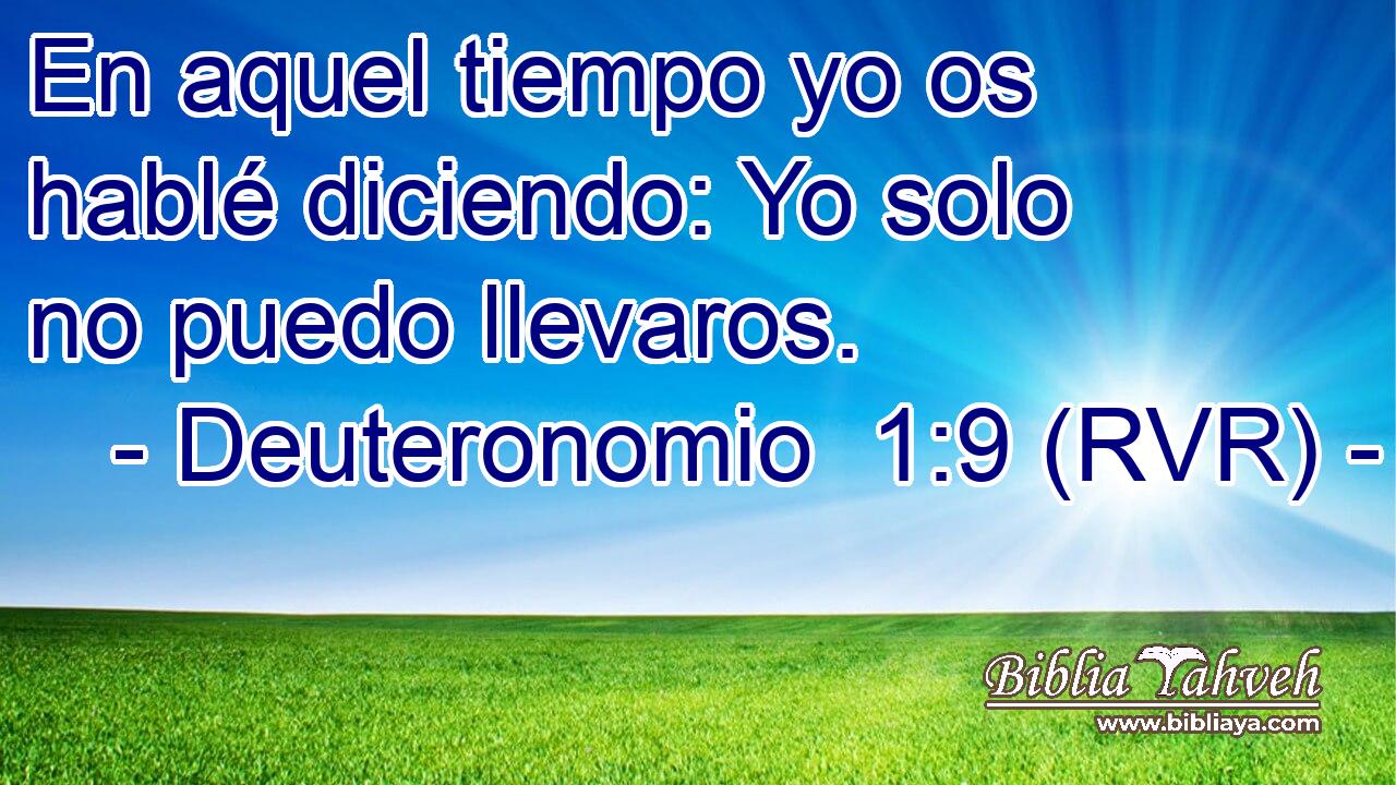 En aquel tiempo yo os hablé diciendo: Yo solo no puedo llevaros.