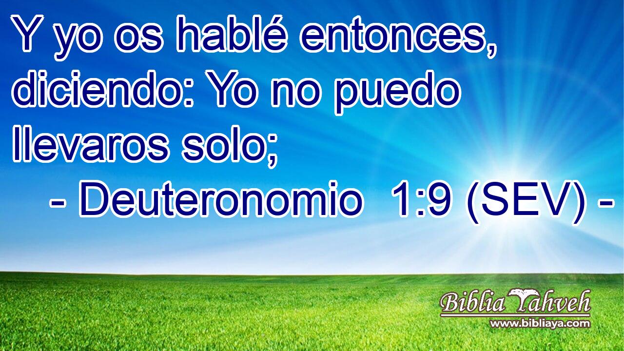 Y yo os hablé entonces, diciendo: Yo no puedo llevaros solo;