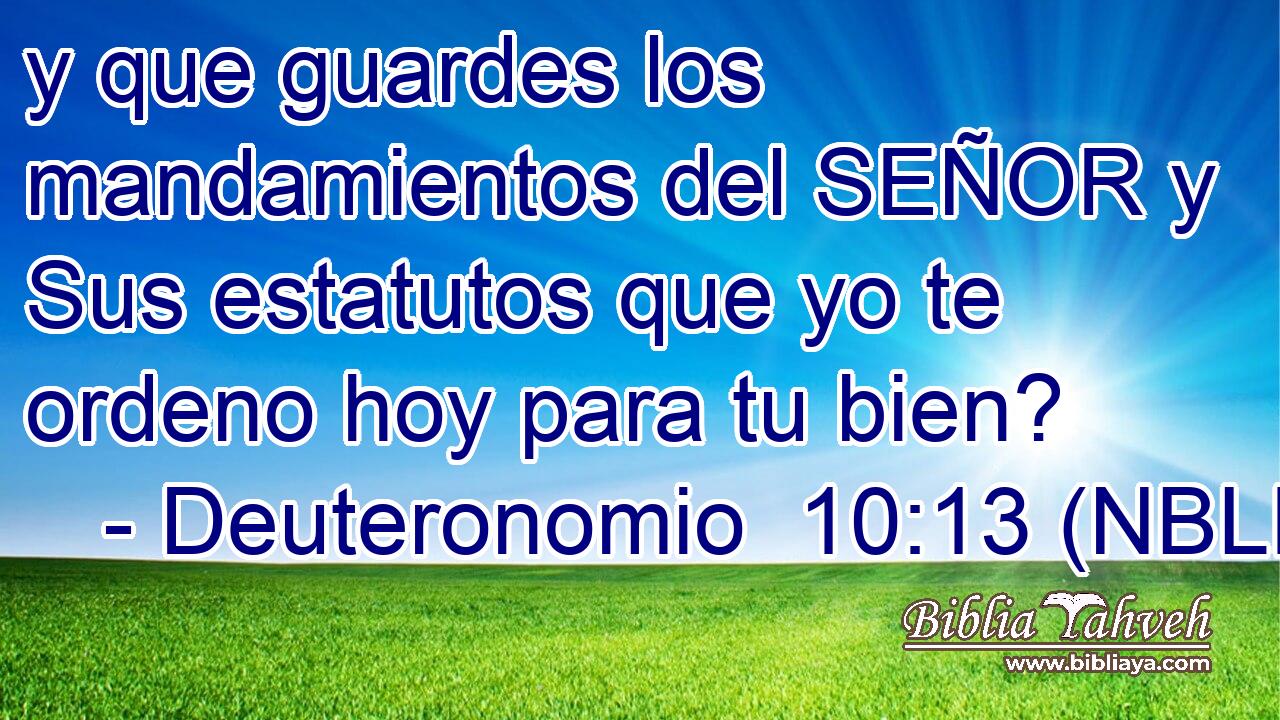  y que guardes los mandamientos del SEÑOR y Sus estatutos que yo te ordeno hoy para tu bien? 