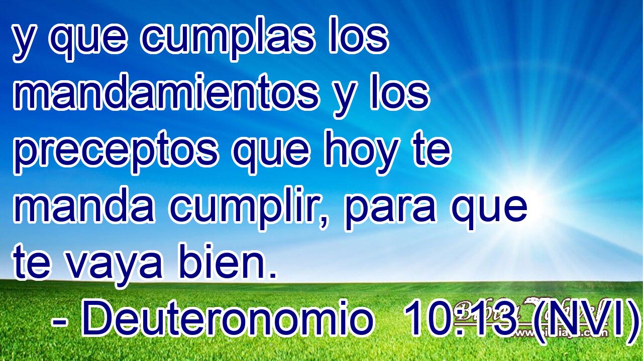  y que cumplas los mandamientos y los preceptos que hoy te manda cumplir, para que te vaya bien. 