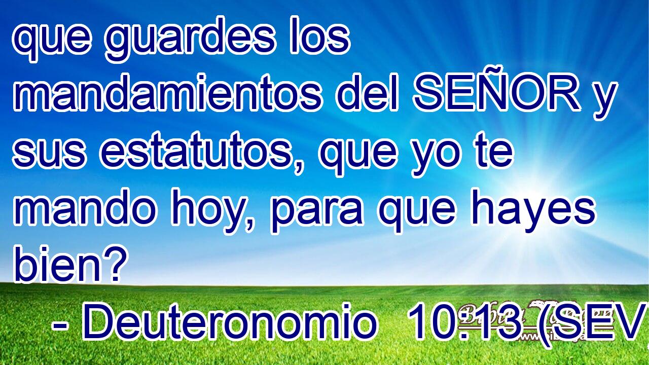 que guardes los mandamientos del SEÑOR y sus estatutos, que yo te mando hoy, para que hayes bien?