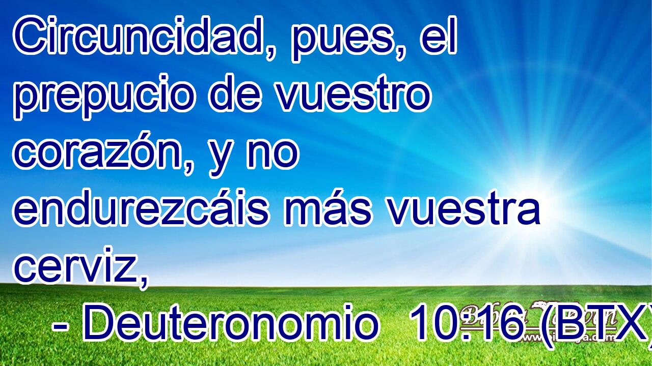 Circuncidad, pues, el prepucio de vuestro corazón, y no endurezcáis más vuestra cerviz,