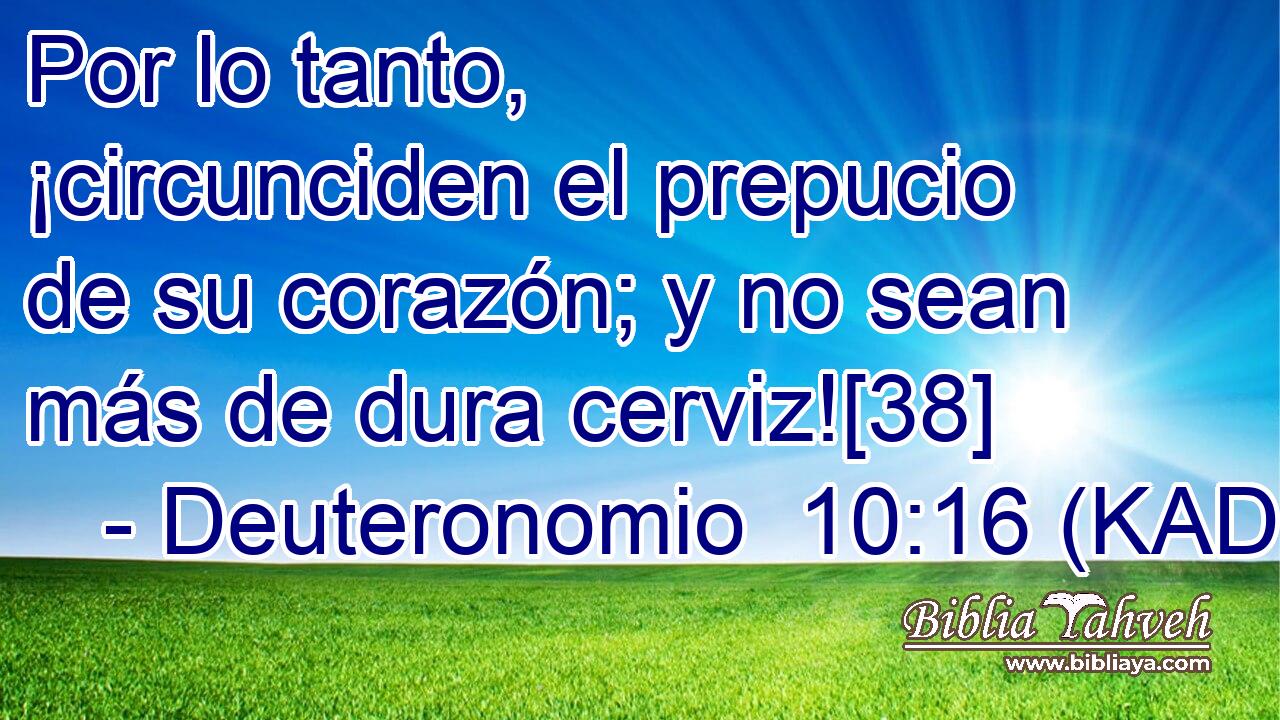 Por lo tanto, ¡circunciden el prepucio de su corazón; y no sean más de dura cerviz![38] 