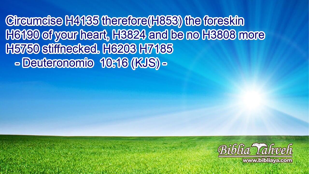 Circumcise H4135 therefore(H853) the foreskin H6190 of your heart, H3824 and be no H3808 more H5750 stiffnecked. H6203 H7185
