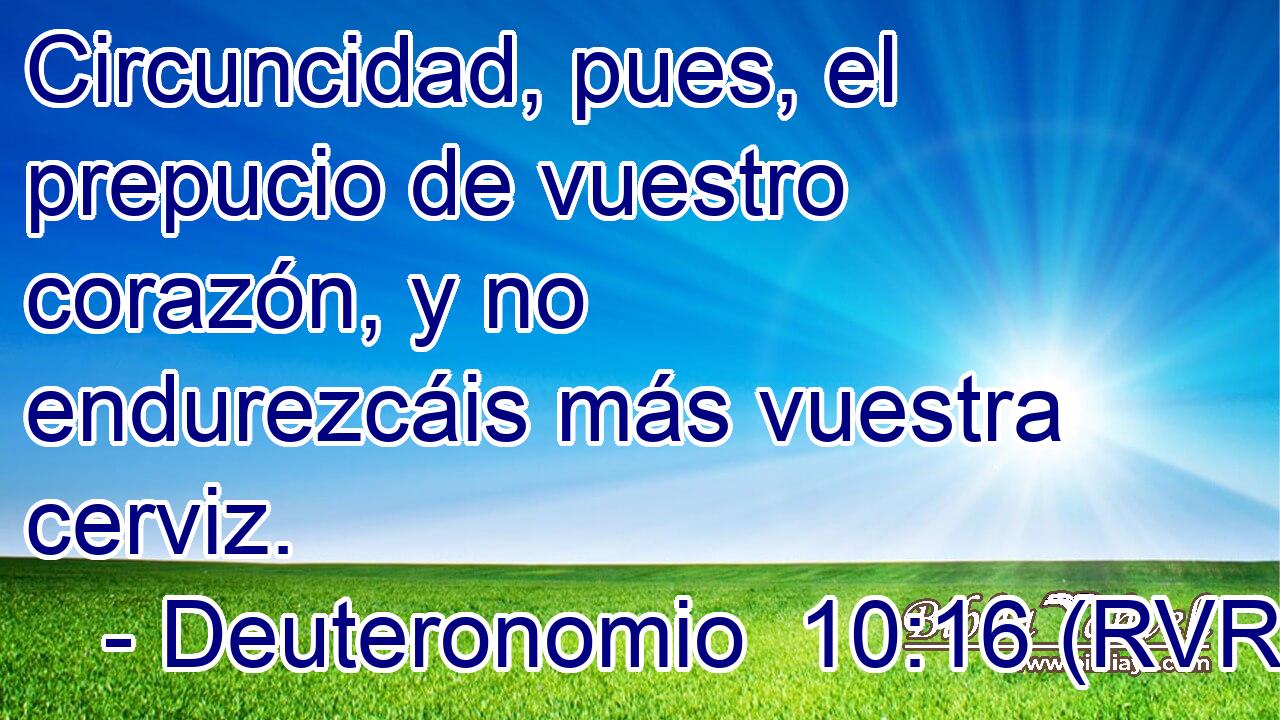 Circuncidad, pues, el prepucio de vuestro corazón, y no endurezcáis más vuestra cerviz.