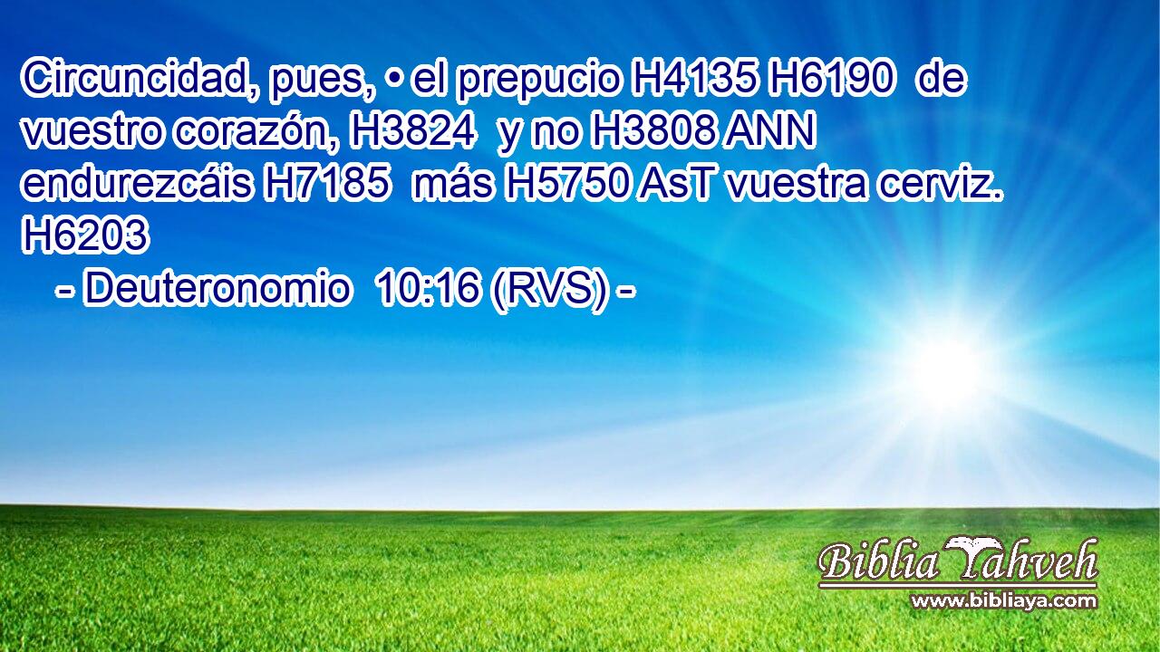 Circuncidad, pues, • el prepucio H4135 H6190  de vuestro corazón, H3824  y no H3808 ANN endurezcáis H7185  más H5750 AsT vuestra cerviz. H6203  