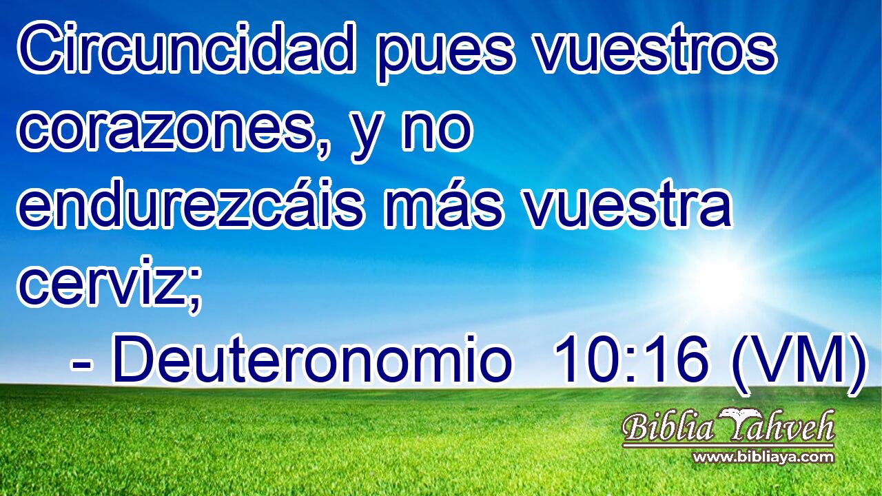  Circuncidad pues vuestros corazones, y no endurezcáis más vuestra cerviz; 