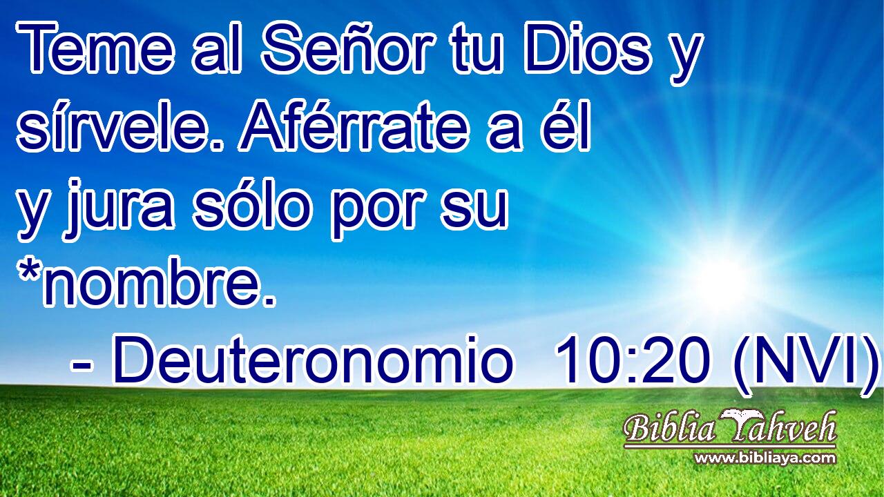 Teme al Señor tu Dios y sírvele. Aférrate a él y jura sólo por su *nombre. 