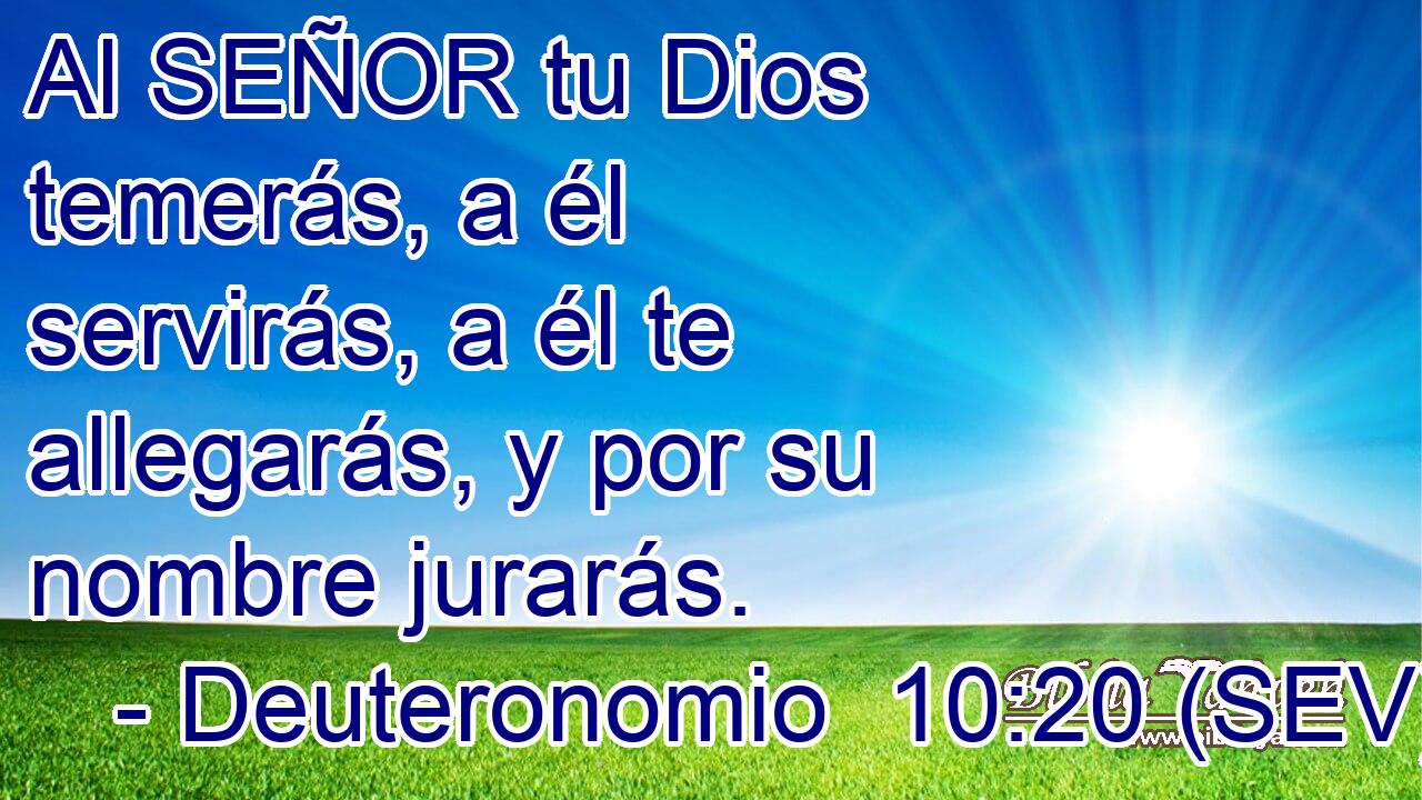 Al SEÑOR tu Dios temerás, a él servirás, a él te allegarás, y por su nombre jurarás.
