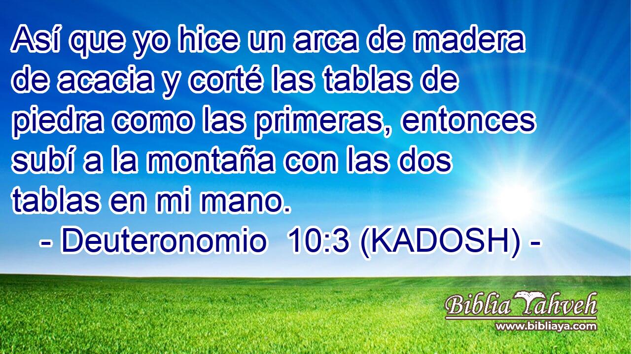  Así que yo hice un arca de madera de acacia y corté las tablas de piedra como las primeras, entonces subí a la montaña con las dos tablas en mi mano. 