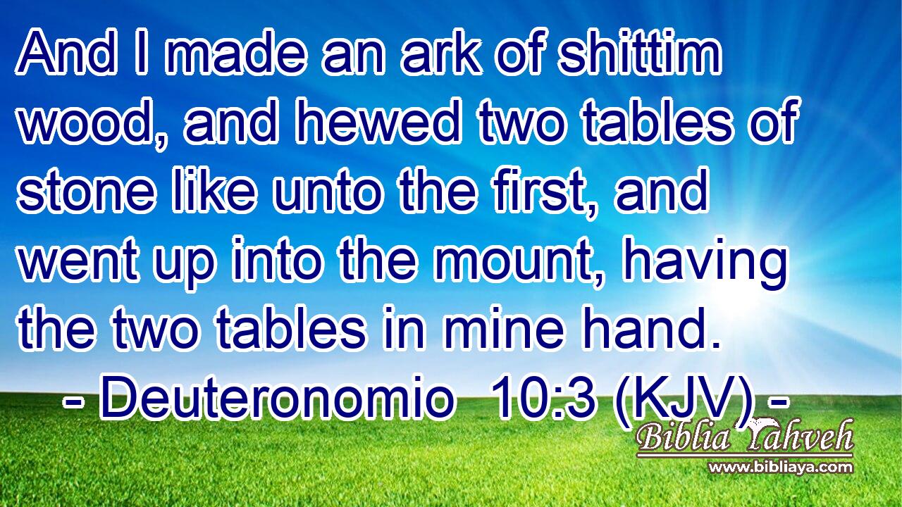 And I made an ark of shittim wood, and hewed two tables of stone like unto the first, and went up into the mount, having the two tables in mine hand.