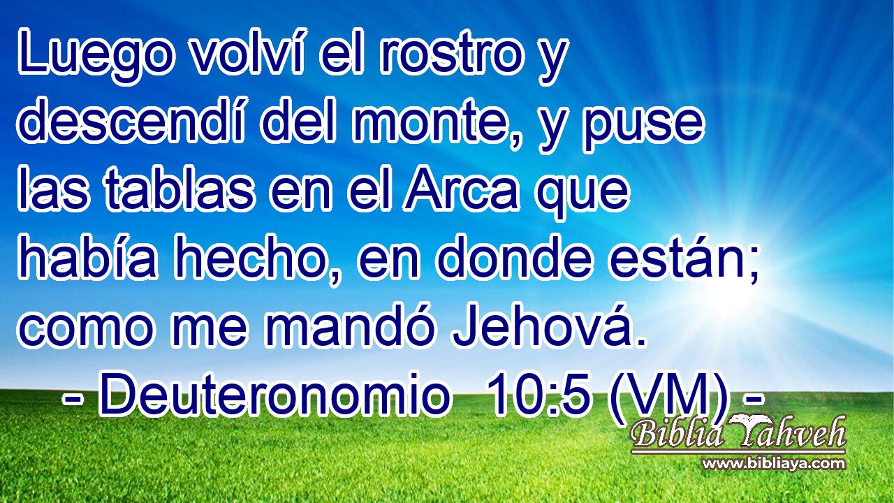  Luego volví el rostro y descendí del monte, y puse las tablas en el Arca que había hecho, en donde están; como me mandó Jehová. 