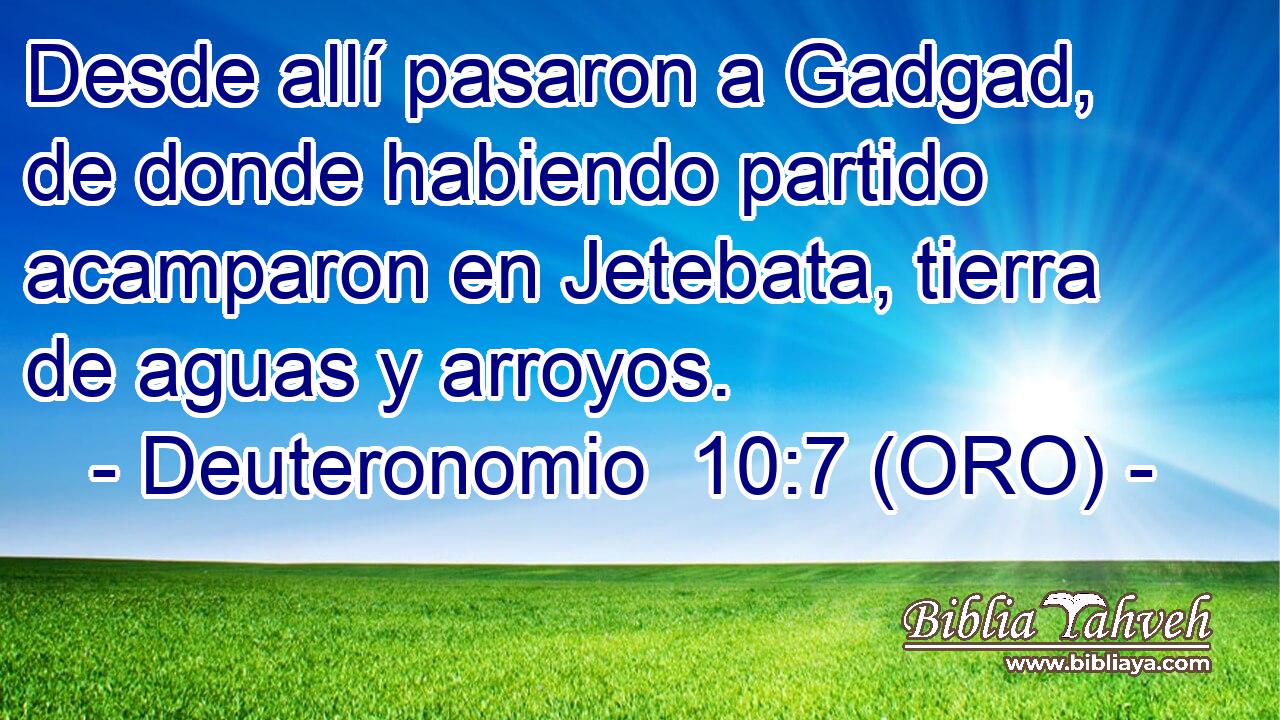  Desde allí pasaron a Gadgad, de donde habiendo partido acamparon en Jetebata, tierra de aguas y arroyos. 