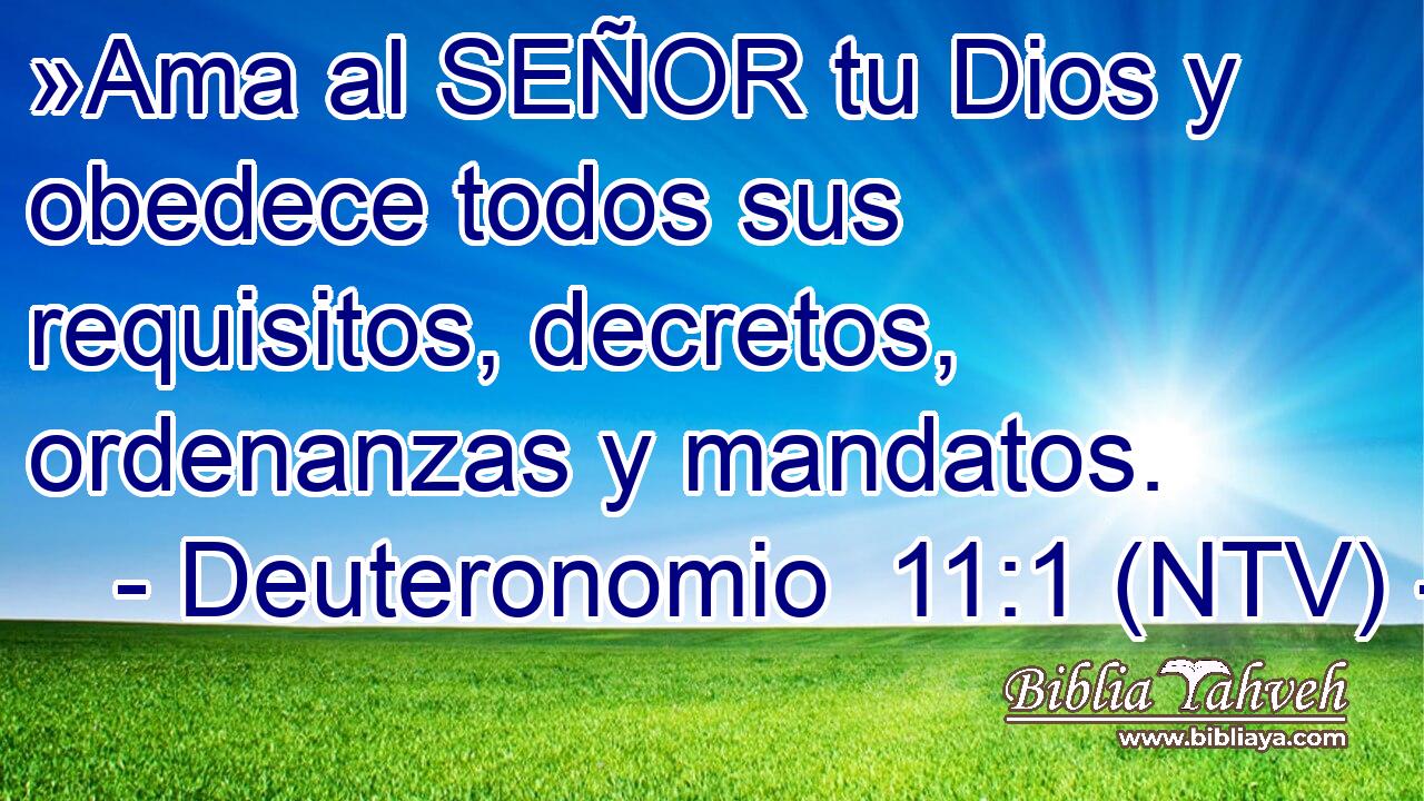 »Ama al SEÑOR tu Dios y obedece todos sus requisitos, decretos, ordenanzas y mandatos.