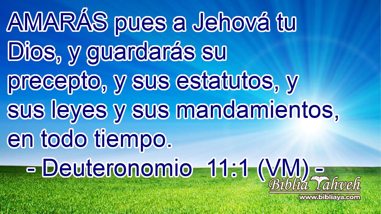  AMARÁS pues a Jehová tu Dios, y guardarás su precepto, y sus estatutos, y sus leyes y sus mandamientos, en todo tiempo. 