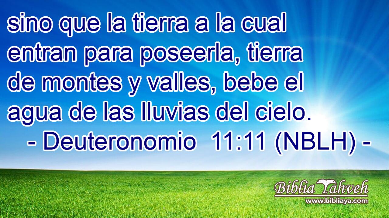  sino que la tierra a la cual entran para poseerla, tierra de montes y valles, bebe el agua de las lluvias del cielo. 