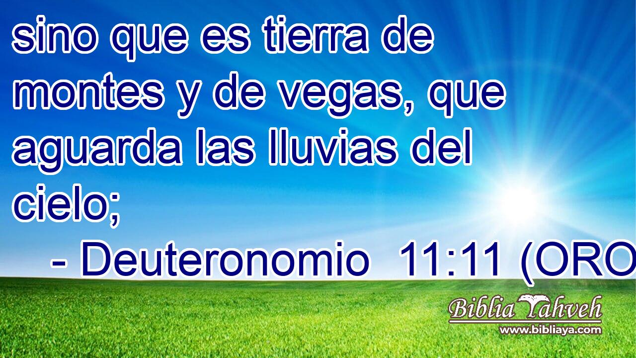  sino que es tierra de montes y de vegas, que aguarda las lluvias del cielo; 