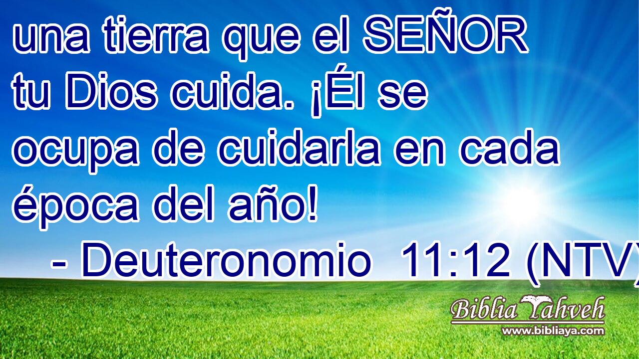 una tierra que el SEÑOR tu Dios cuida. ¡Él se ocupa de cuidarla en cada época del año!