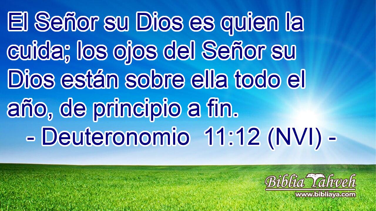  El Señor su Dios es quien la cuida; los ojos del Señor su Dios están sobre ella todo el año, de principio a fin. 