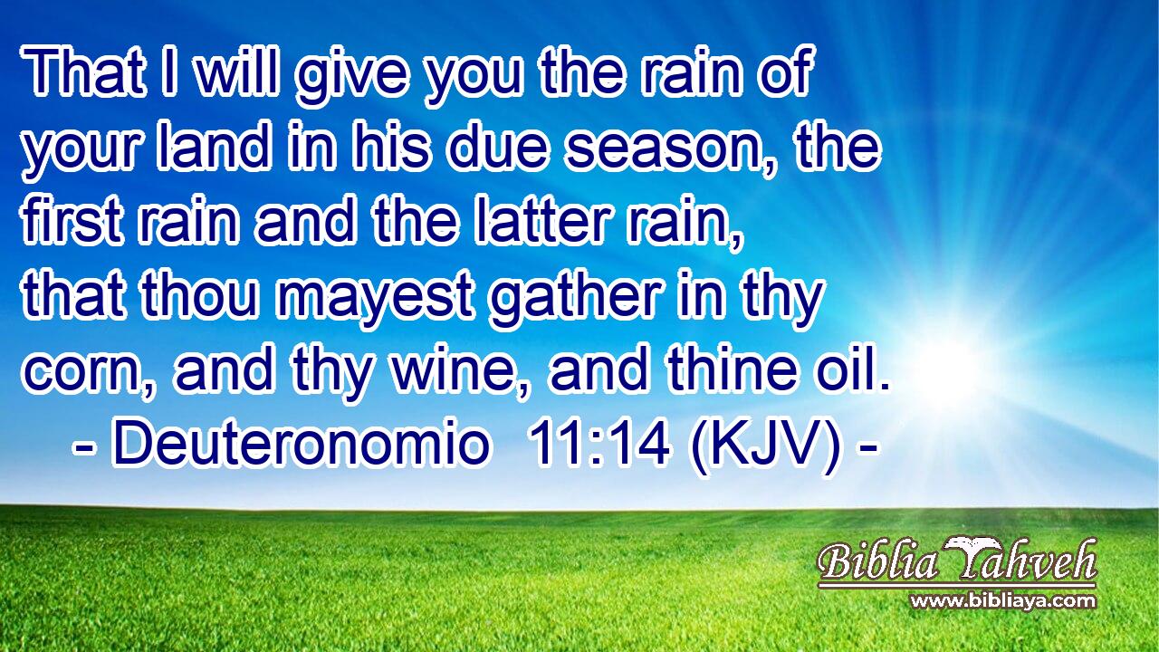 That I will give you the rain of your land in his due season, the first rain and the latter rain, that thou mayest gather in thy corn, and thy wine, and thine oil.